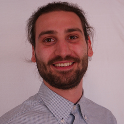 Sandro Falanga