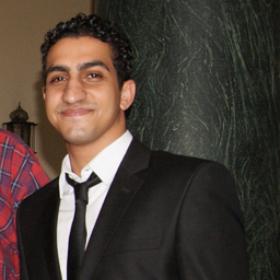 Mohamed Abdeldayem