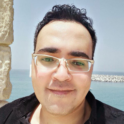 Ayman Amer