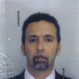GIULIANO TELLINI