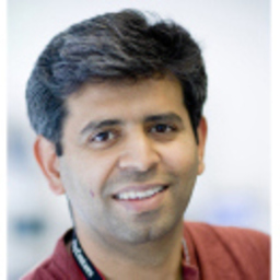 Hemant Julka