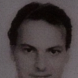 Koen Harteel