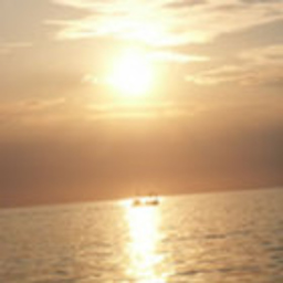 Mag. Shiva Sonnenschein
