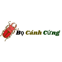 bocanh cung