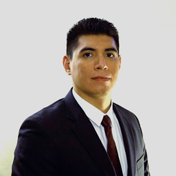 Ing. Luis Montes de Oca Miranda