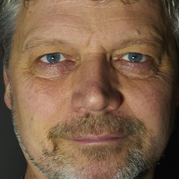 Alfons Steil