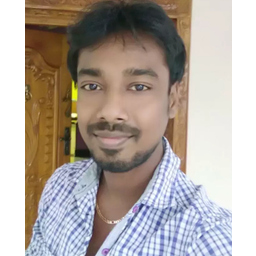 Ramesh Krishnan