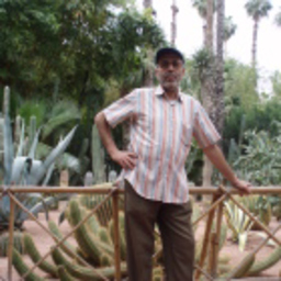 MOHAMED EL BAKKALI
