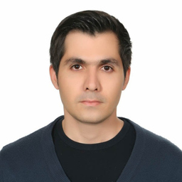 hamed Amel