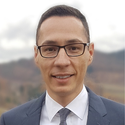 Roman Gubarev