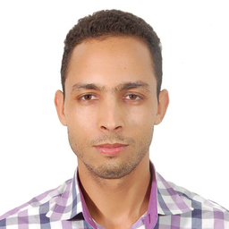 Prof. M Barak ALAOUI