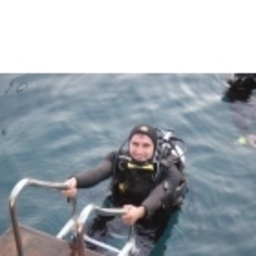Engin Aykul