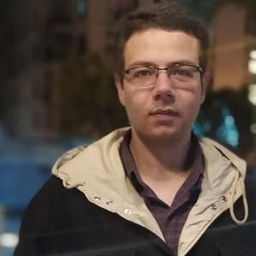 Mahmoud Bishr