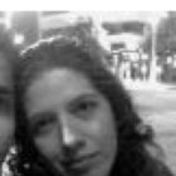 SHIRLEY VIVIANA DULCEY HERNANDEZ