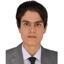 naser ebrahimi