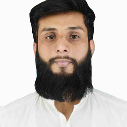 Muhammad Laraib