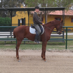 VÍCTOR R-C C