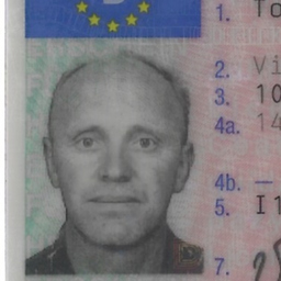 Vitali Tom