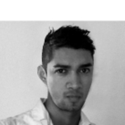 Jose Luis VELIZ MARTINEZ