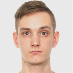 Vladimir Zvezdkin