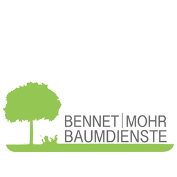 Bennet Mohr