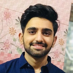 Raja Anesh
