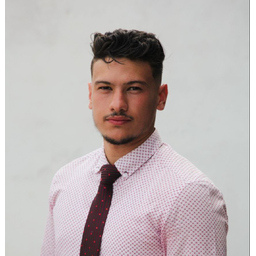 meziani diaeddine