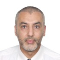 Mounir Hamidi
