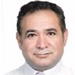 Dipl.-Ing. Alireza Mohammadi