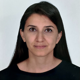 Pınar Özgökçe