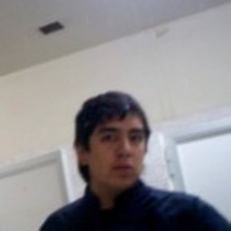 Alejandro José Pulgar Carrasco