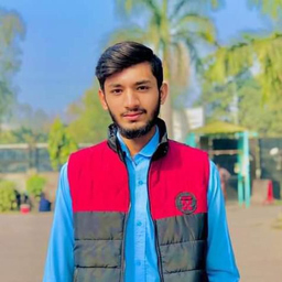 Malik Zain