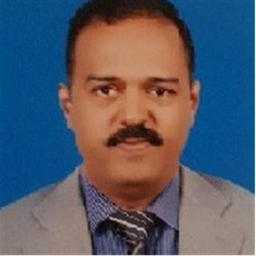 Leelakrishna Viswanatham