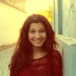 Sherin El Safty