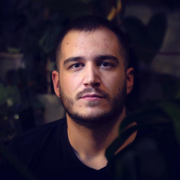 Vladimir Mijailovic