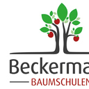 Dirk Beckermann