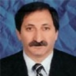 Mesut Bilaloglu