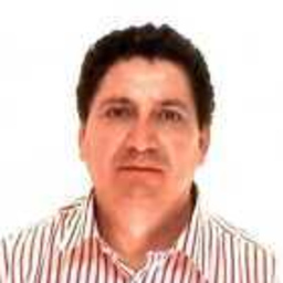 JULIO CESAR MOYA URETA