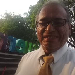 Prof. Alejandro Gutierrez Esparza