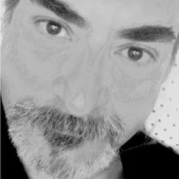 sergio melucci