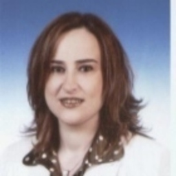 Deniz İnel