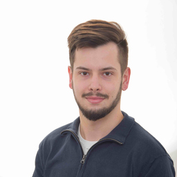 Maximilian Bauer's profile picture