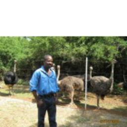 Adewale Kassim
