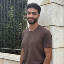 Roni Hassanieh