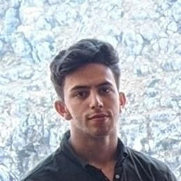 Mohamed Tarek Dashli
