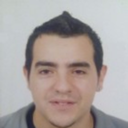 Luis Garcia Ariño