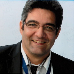 Gilles Mailliere