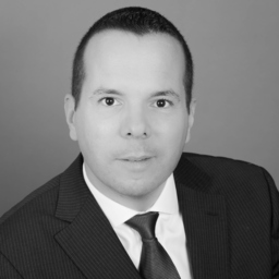 Raynald ROGER