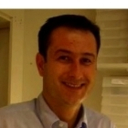 Georges Junginger