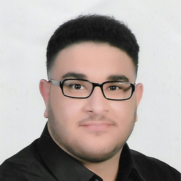 Hadi El-Hussein
